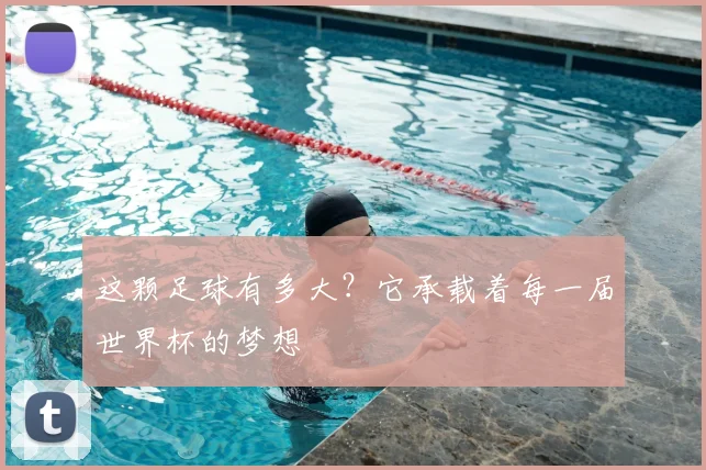 这颗足球有多大？它承载着每一届世界杯的梦想