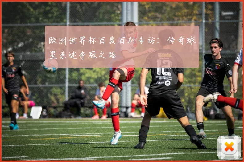 欧洲世界杯百度百科专访：传奇球星亲述夺冠之路