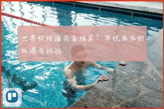 世界杯转播花落谁家?华视面临的机遇与挑战