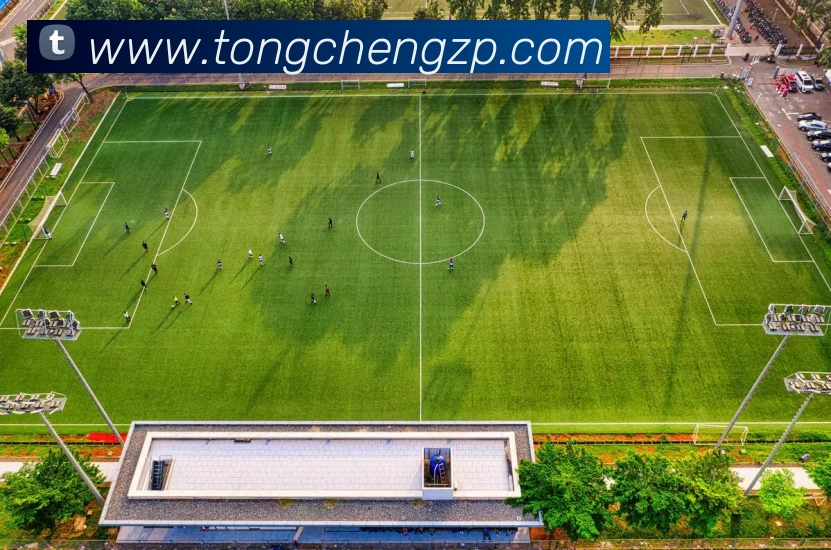 mksports官方网站平台生态图