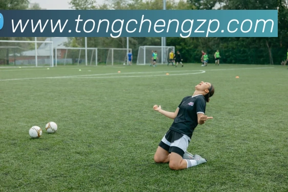 mksports官方网站APP 封面图